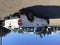 2019 Ford F-150 Police Responder XL