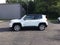 2020 Jeep Renegade Limited
